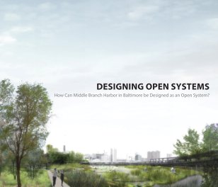 Designing open systems book cover