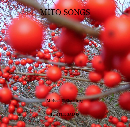 View MITO SONGS by Michael H Shamberg


TURTLE SALON