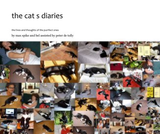 the cat s diaries book cover