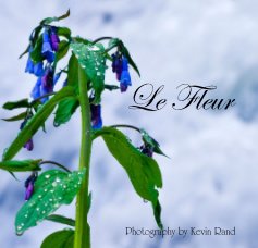 Le Fleur book cover