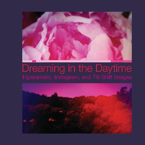 View Dreaming in the Daytime - Softcover by Martin Magee