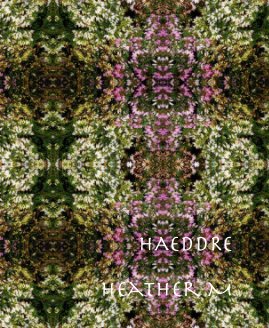 Haeddre book cover