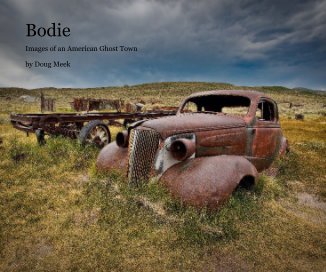 Bodie book cover