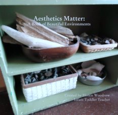 Aesthetics Matter:
A Book of Beautiful Environments book cover