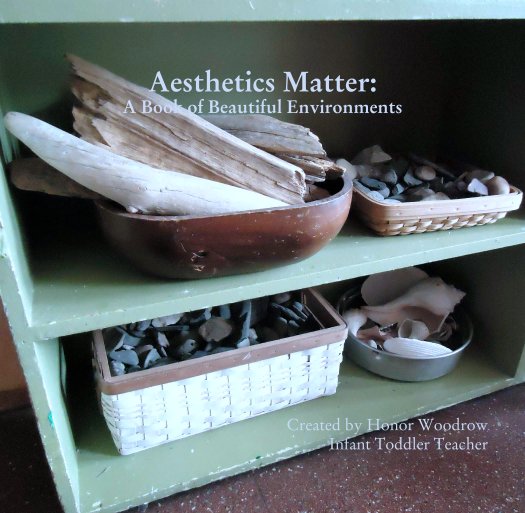 View Aesthetics Matter:
A Book of Beautiful Environments by Created by Honor Woodrow
Infant Toddler Teacher