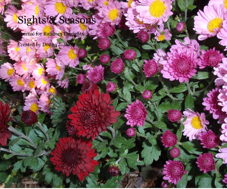 View Sights & Seasons by Created by Donna J. Martinson