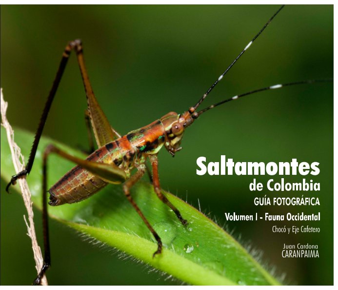 Bekijk Saltamontes de Colombia - Guía Fotográfica op Juan Manuel Cardona Granda