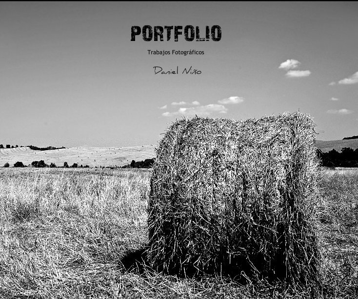 View PORTFOLIO by Daniel Niño