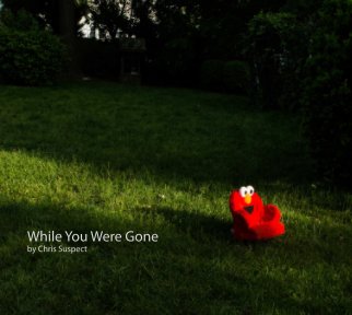 While You Were Gone book cover