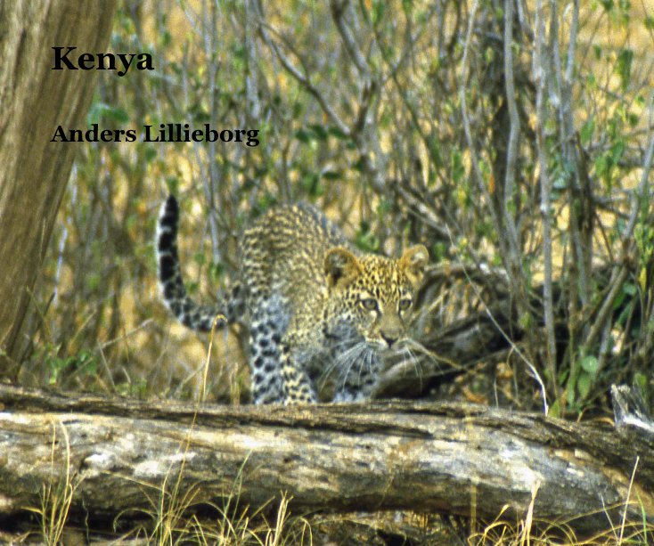 Ver Kenya por Anders Lillieborg