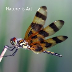 Nature is Art book cover