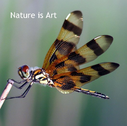 Visualizza Nature is Art di naplesjoel