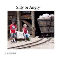 Silly or Angry book cover