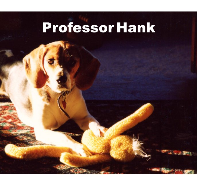 View Professor Hank by Martin Puntney