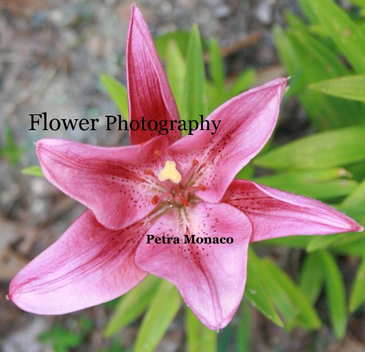 Ver Flower Photography por Petra Monaco