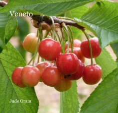 Veneto book cover