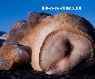 Roadkill book cover