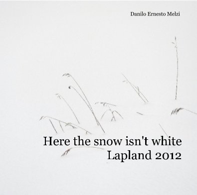 Here the snow isn't white book cover