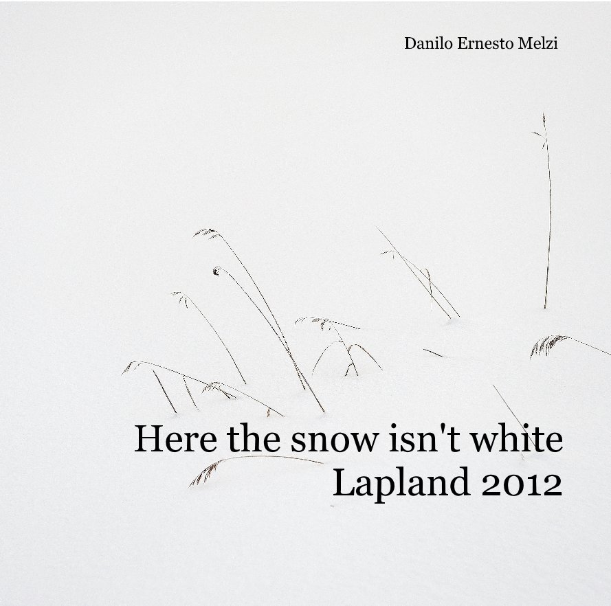 View Here the snow isn't white by Danilo Ernesto Melzi