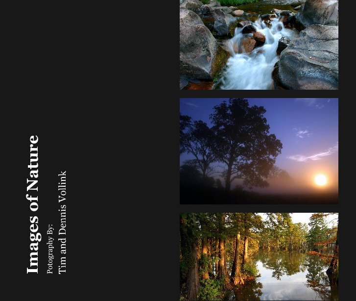 View Images of Nature by Tim and Dennis Vollink