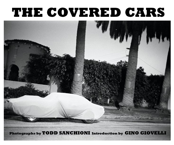 View THE COVERED CARS by Todd Sanchioni