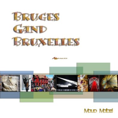 Bruges Gand Bruxelles book cover