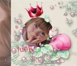 Funky Princess book cover