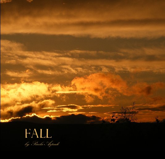 View fall by Paula Arpadi