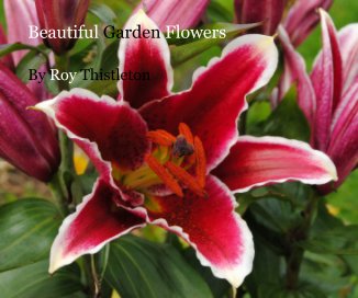 Beautiful Garden Flowers book cover