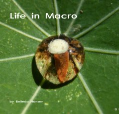 Life in Macro book cover