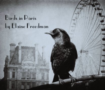 Birds in Paris book cover