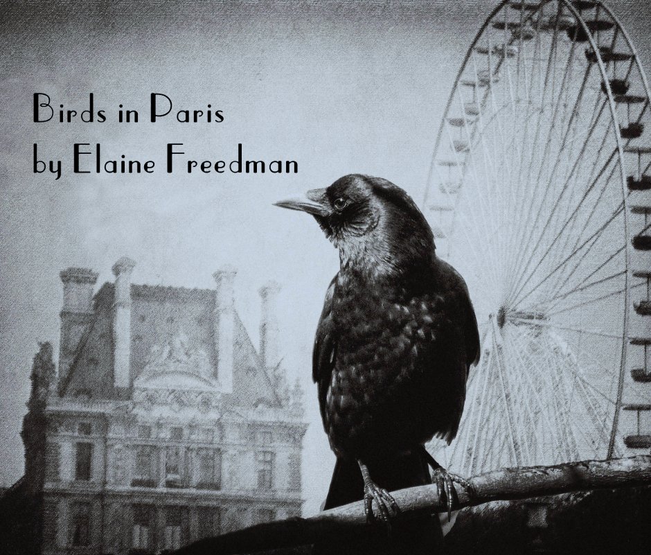 View Birds in Paris by Elaine Freedman