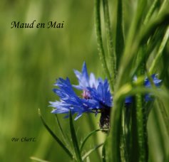 Maud en Mai book cover