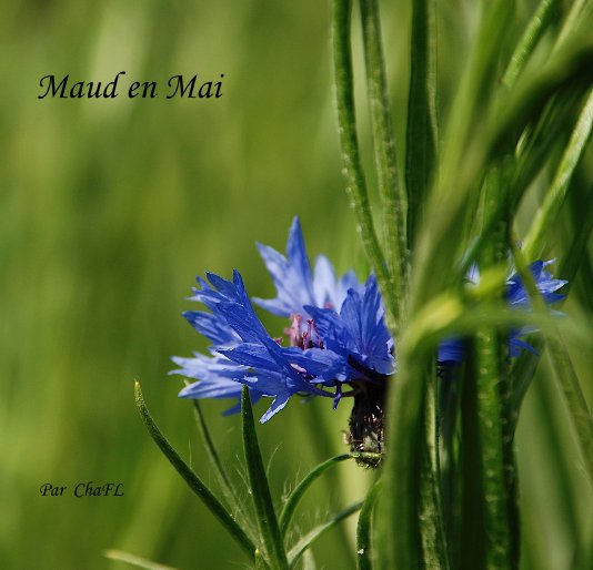 View Maud en Mai by Par ChaFL