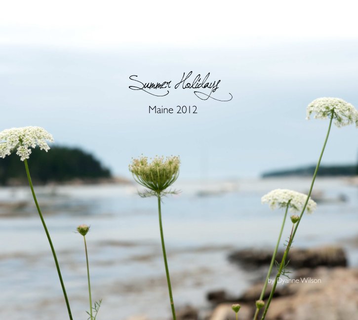 View Summer Holidays by Dyanne Wilson