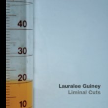 Liminal Cuts book cover