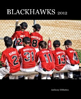 BLACKHAWKS 2012 book cover