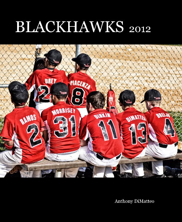 Visualizza BLACKHAWKS 2012 di Anthony DiMatteo