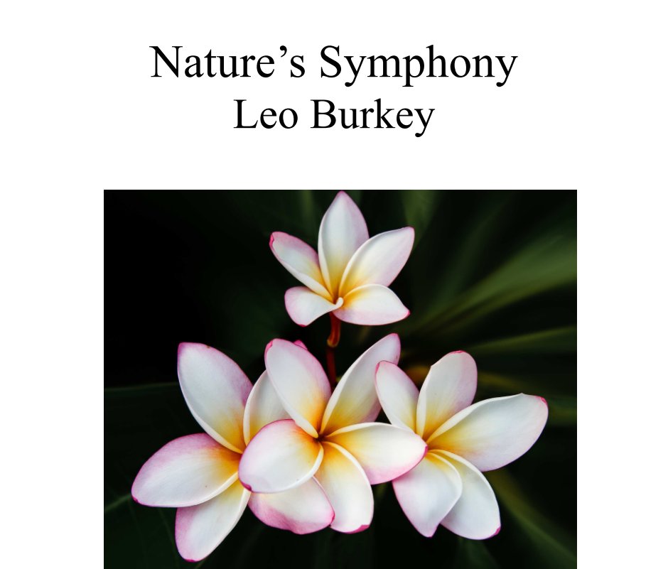 View Nature's Symphony by Leo Burkey
