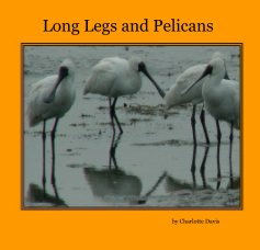 Long Legs and Pelicans book cover