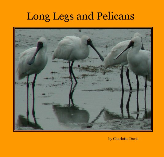 View Long Legs and Pelicans by Charlotte Davis