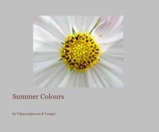 Summer Colours book cover