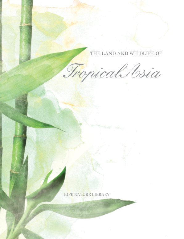 View Tropical Asia by Jessica Langstine