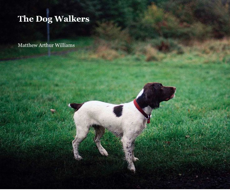 View The Dog Walkers by Matthew Arthur Williams