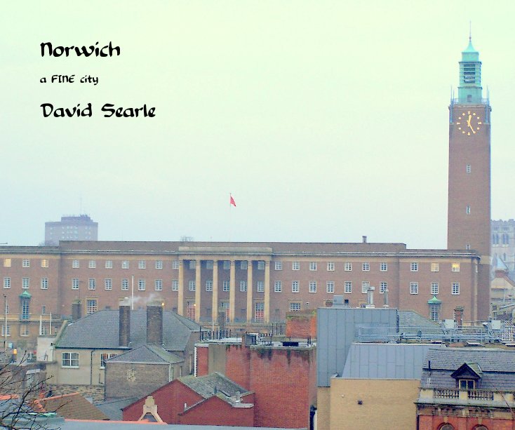View Norwich by David Searle