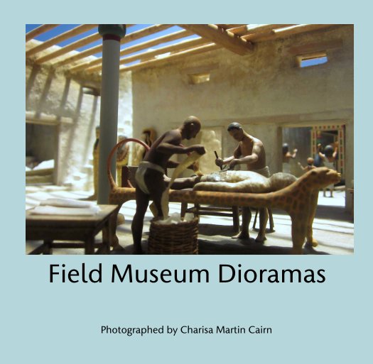 Ver Field Museum Dioramas por Photographed by Charisa Martin Cairn