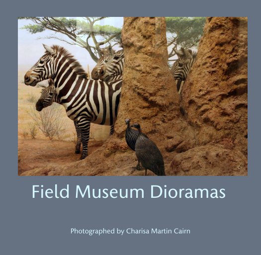 View Field Museum Dioramas by Photographed by Charisa Martin Cairn