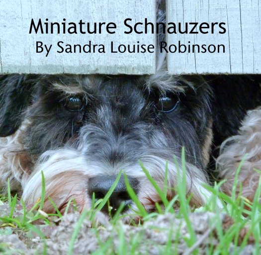 Ver Miniature Schnauzers 
By Sandra Louise Robinson por sandyrobinso