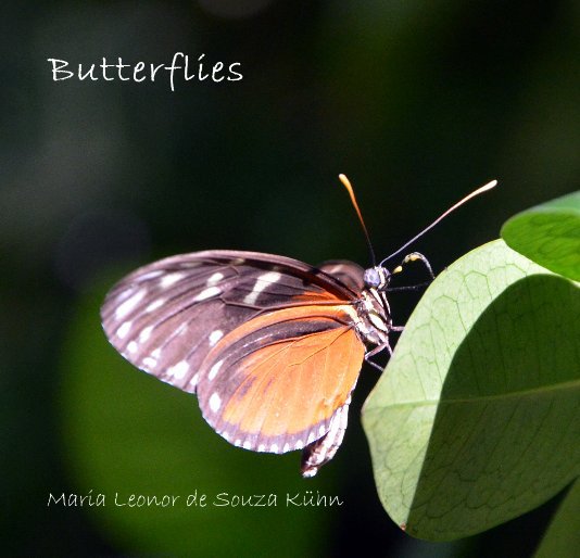 View Butterflies by Maria Leonor de Souza Kühn