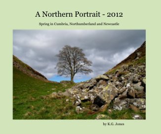 A Northern Portrait - 2012 book cover